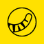 TIGR icon